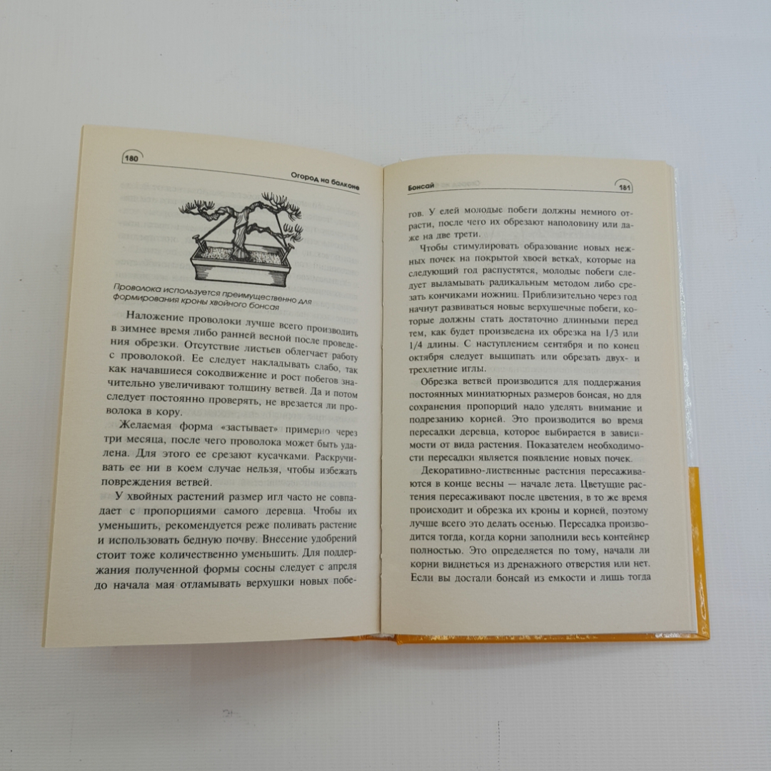 Огород на балконе. Л.П. Попова. Изд. Мир книги, 2009г. Картинка 5