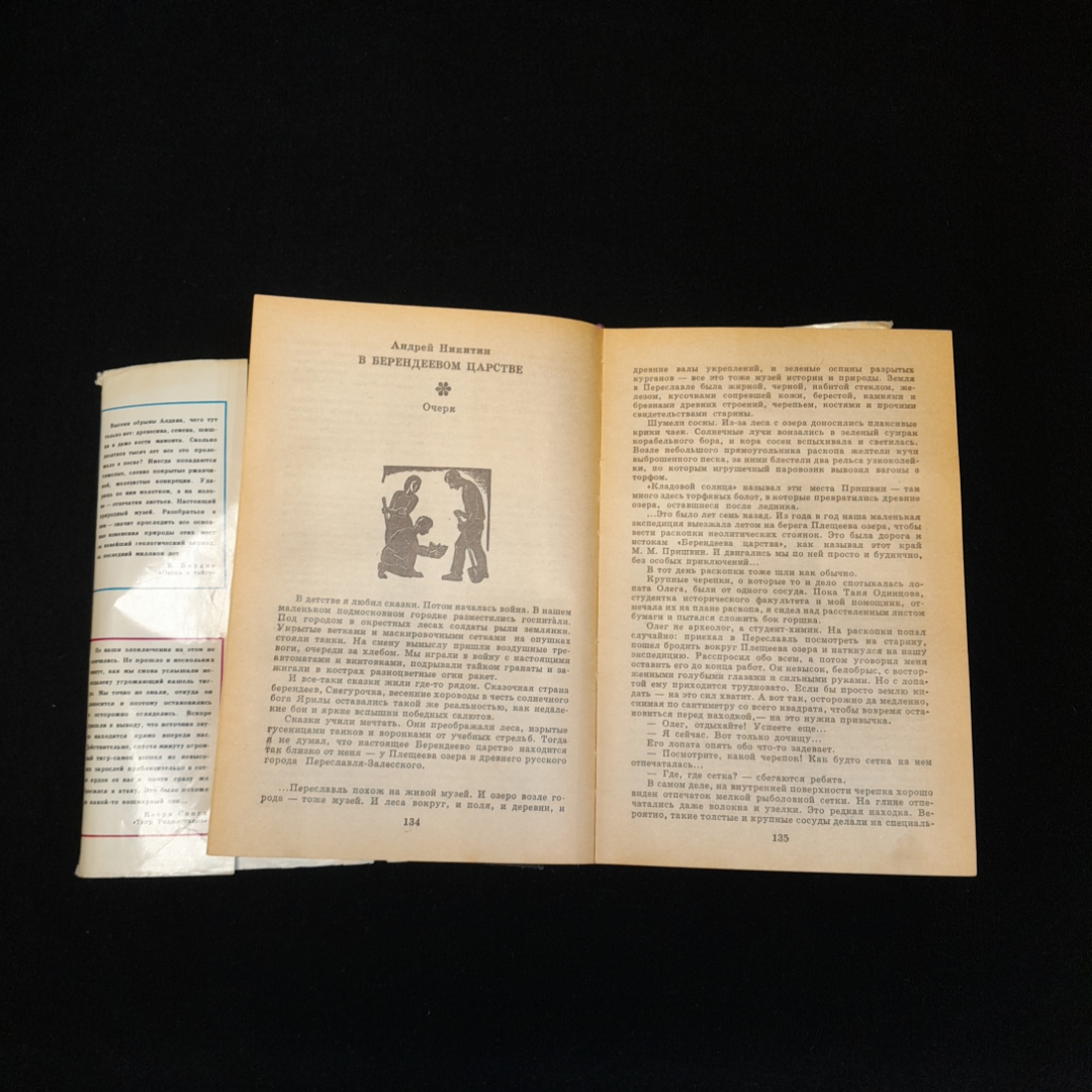 Сосна обыкновенная. Одно из самых древних растений Земли. — Алтайский биосферный заповедник