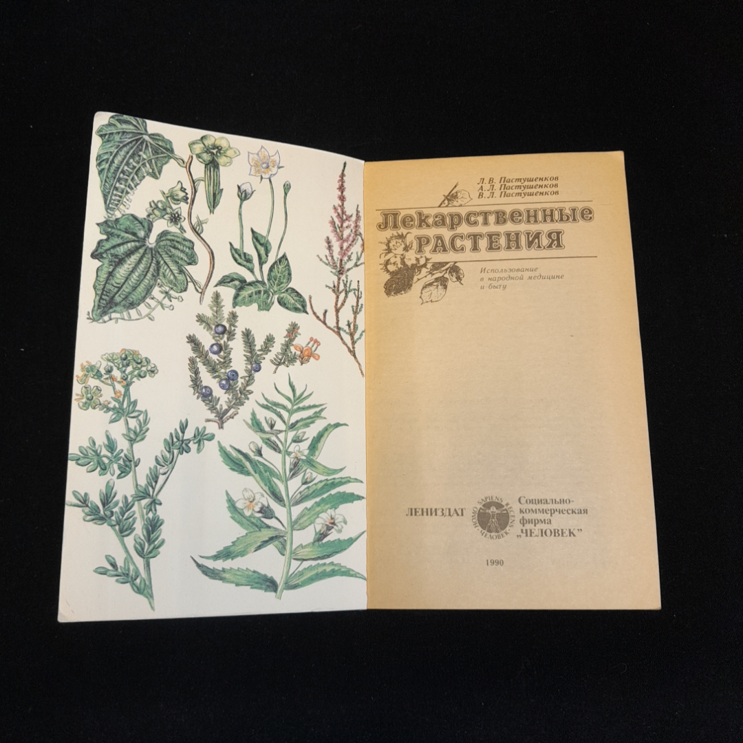 Лекарственные растения. Л.В., А.Л., В.Л. Пастушенковы. Изд. Лениздат, 1990г. Картинка 2