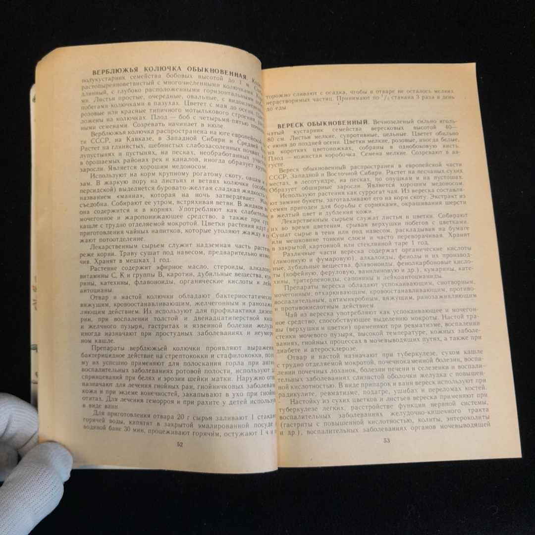 Лекарственные растения. Л.В., А.Л., В.Л. Пастушенковы. Изд. Лениздат, 1990г. Картинка 3