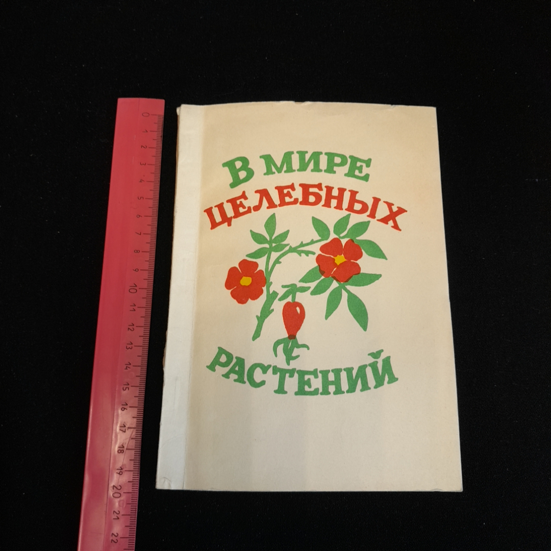 В мире целебных растений. Изд. СГМА, 1995г. Картинка 7