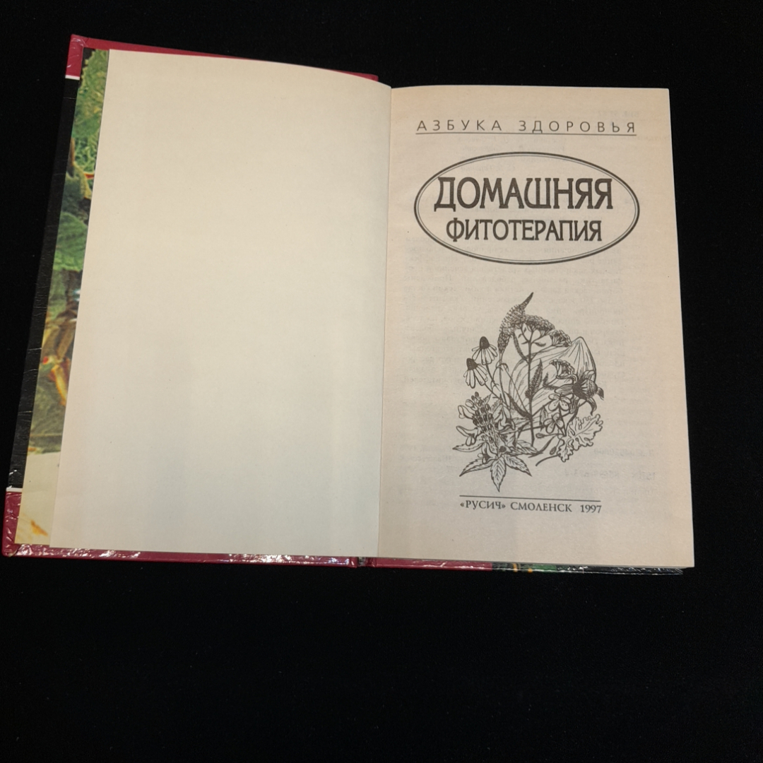 Домашняя фитотерапия. Изд. Русич, 1997г. Картинка 2