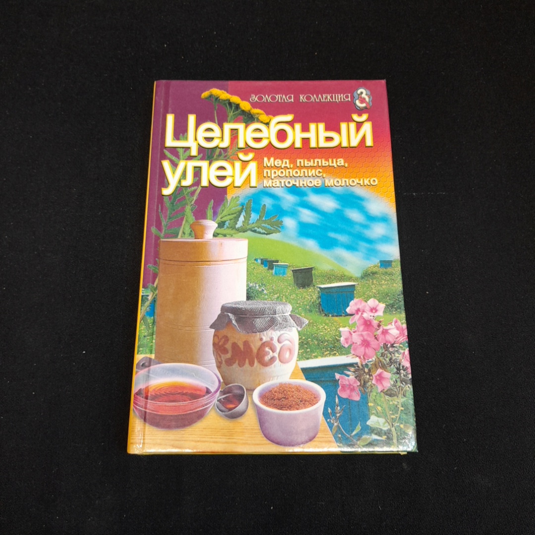 Т.В. Романенко, Целебный улей, 2002 г.. Картинка 1