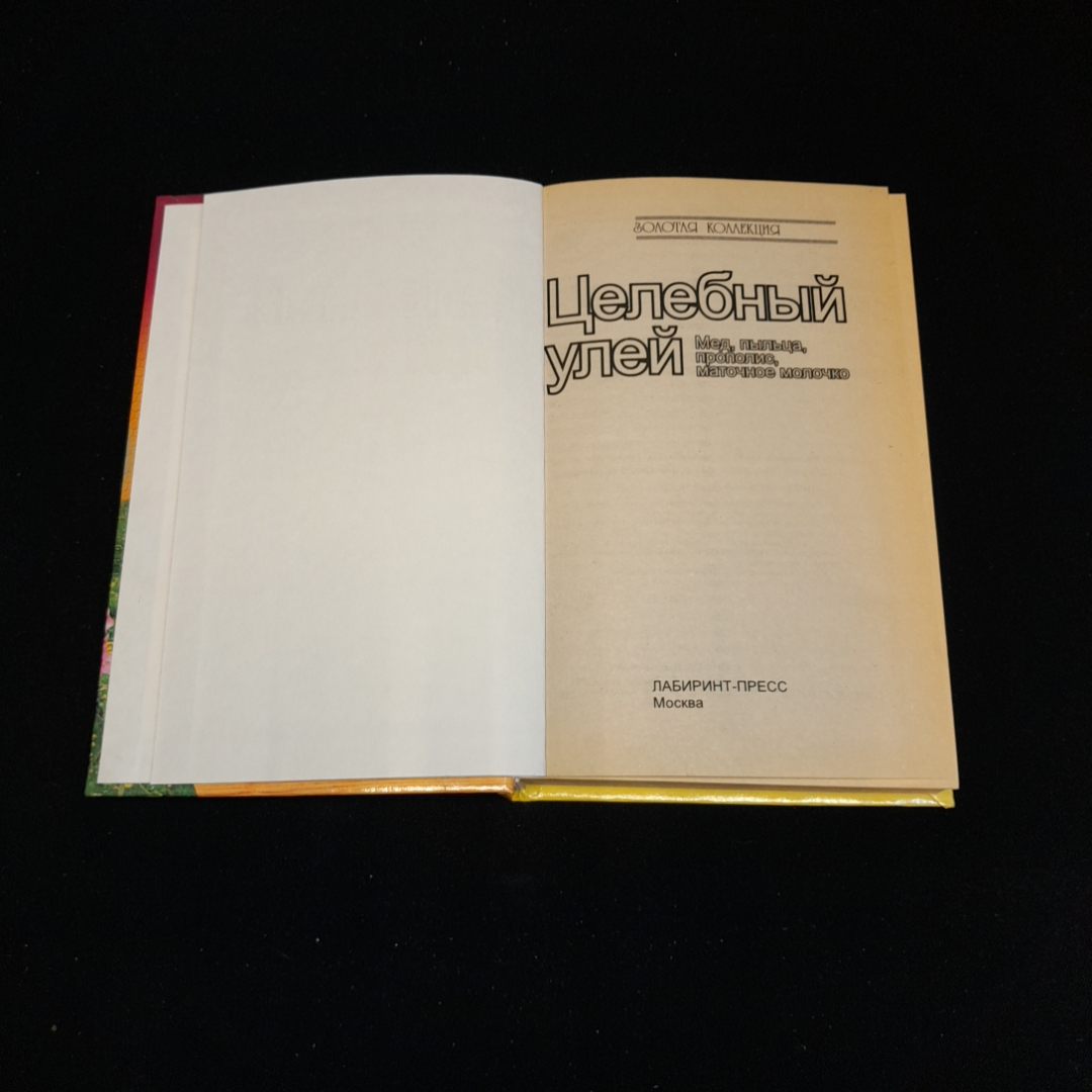 Т.В. Романенко, Целебный улей, 2002 г.. Картинка 2