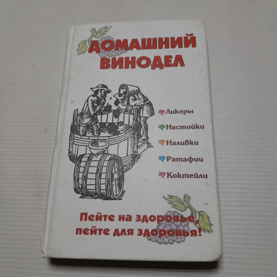 Домашний винодел. И.Г. Пышнов. Изд. Современная школа. 2007г. Картинка 1