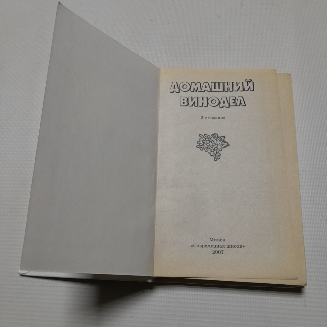 Домашний винодел. И.Г. Пышнов. Изд. Современная школа. 2007г. Картинка 2