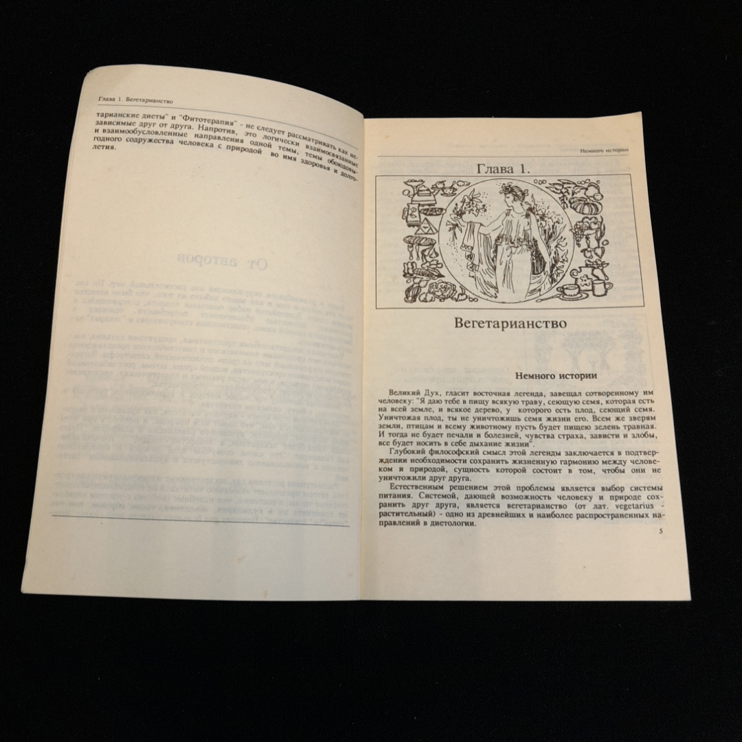 Целебная вегетарианская кухня. Г.И. Молчанов. Изд. Интербук, 1992г. Картинка 3