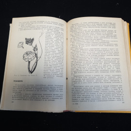 Приусадебное хозяйство, Россельхозиздат, 1973 г.. Картинка 5