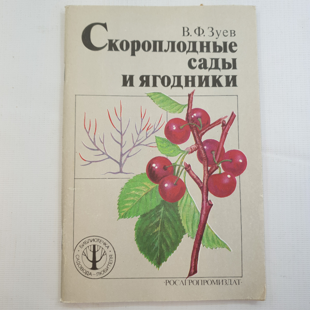 В.Ф. Зуев, Скороплодные сады и ягодники, 1991 г.. Картинка 1