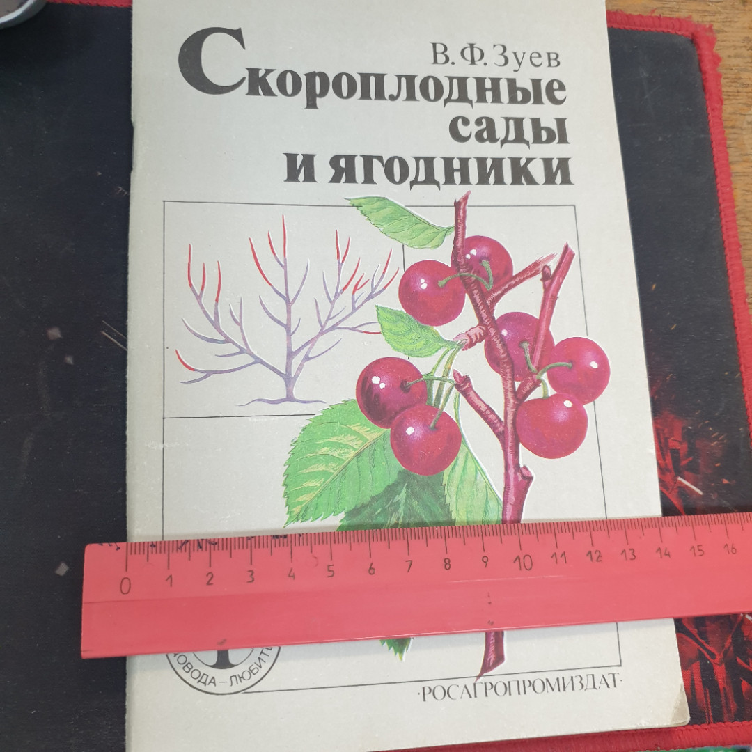 В.Ф. Зуев, Скороплодные сады и ягодники, 1991 г.. Картинка 4