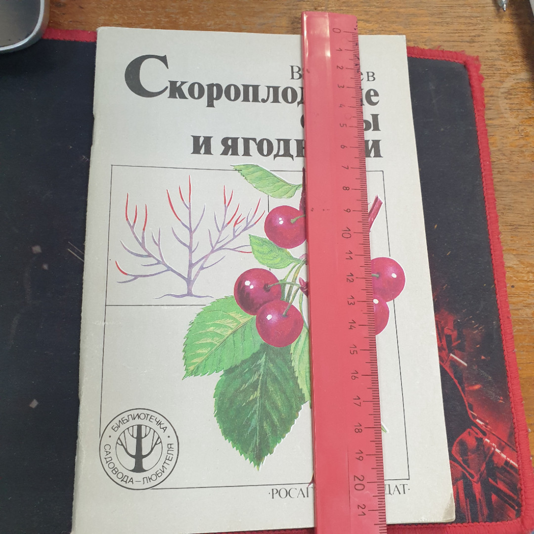 В.Ф. Зуев, Скороплодные сады и ягодники, 1991 г.. Картинка 5