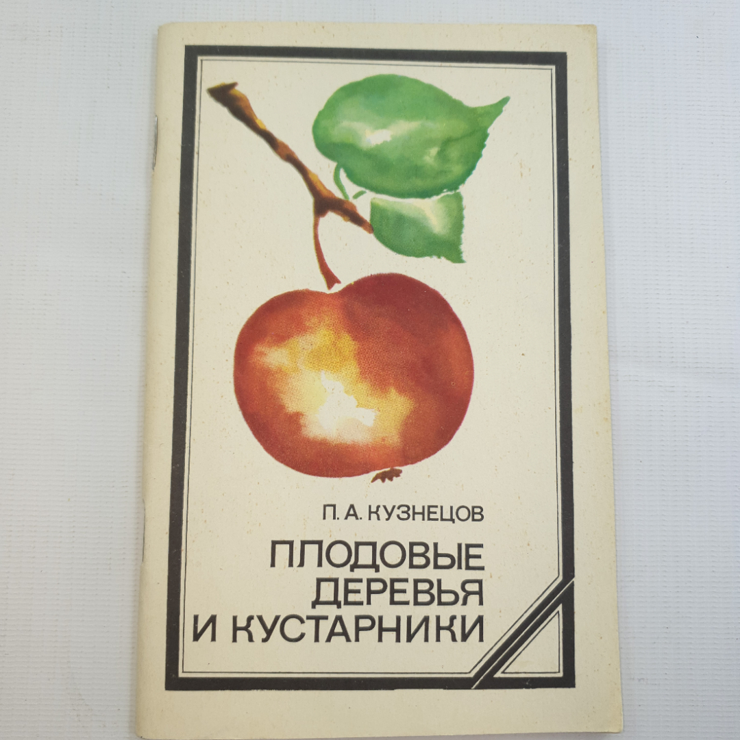 П.А. Кузнецов, Плодовые деревья и кустарники, 1977 г.. Картинка 1