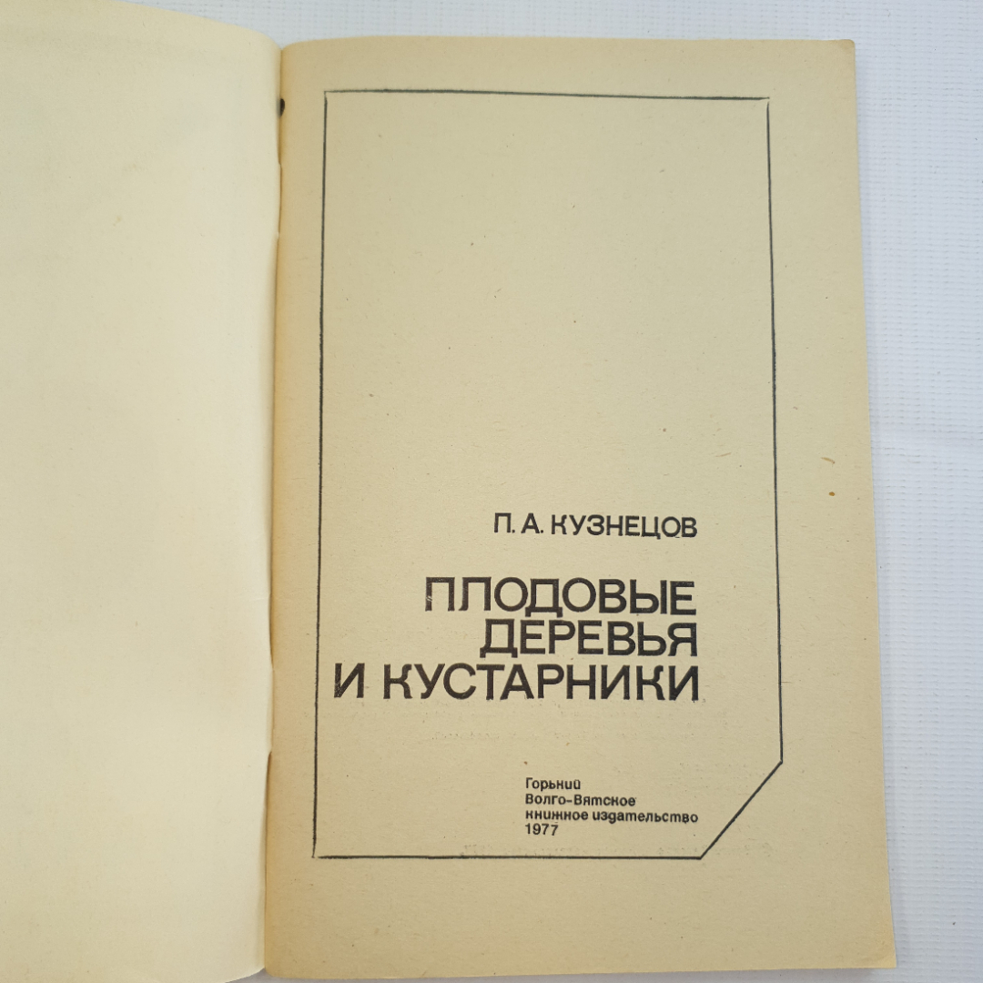 П.А. Кузнецов, Плодовые деревья и кустарники, 1977 г.. Картинка 3