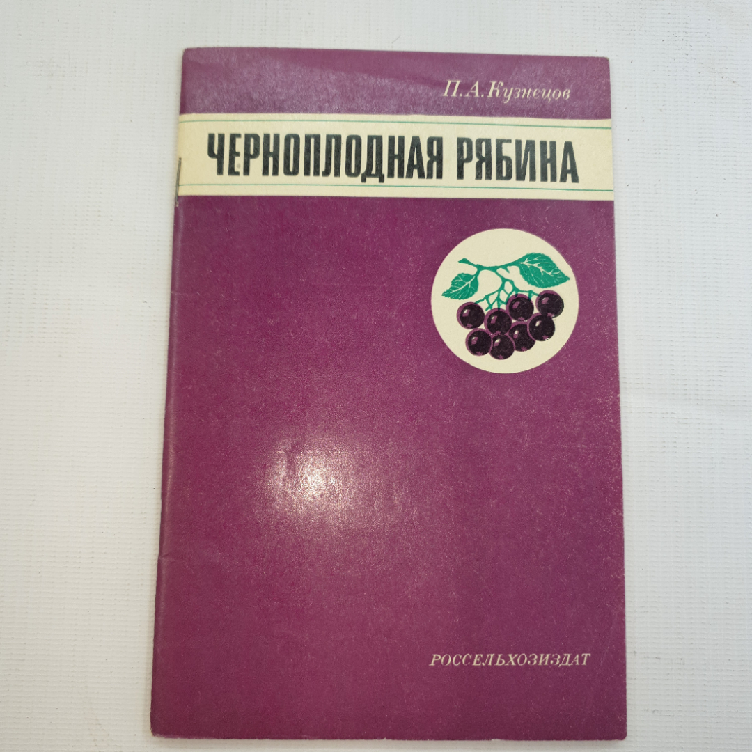 Без надписи (ободок) РЯБИНА 29,,00