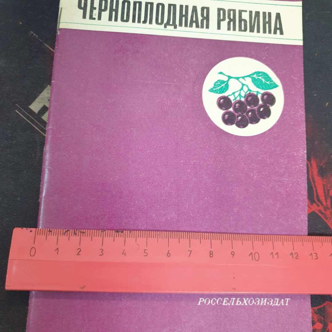 П.А. Кузнецов, Черноплодная рябина, 1978 г.. Картинка 4