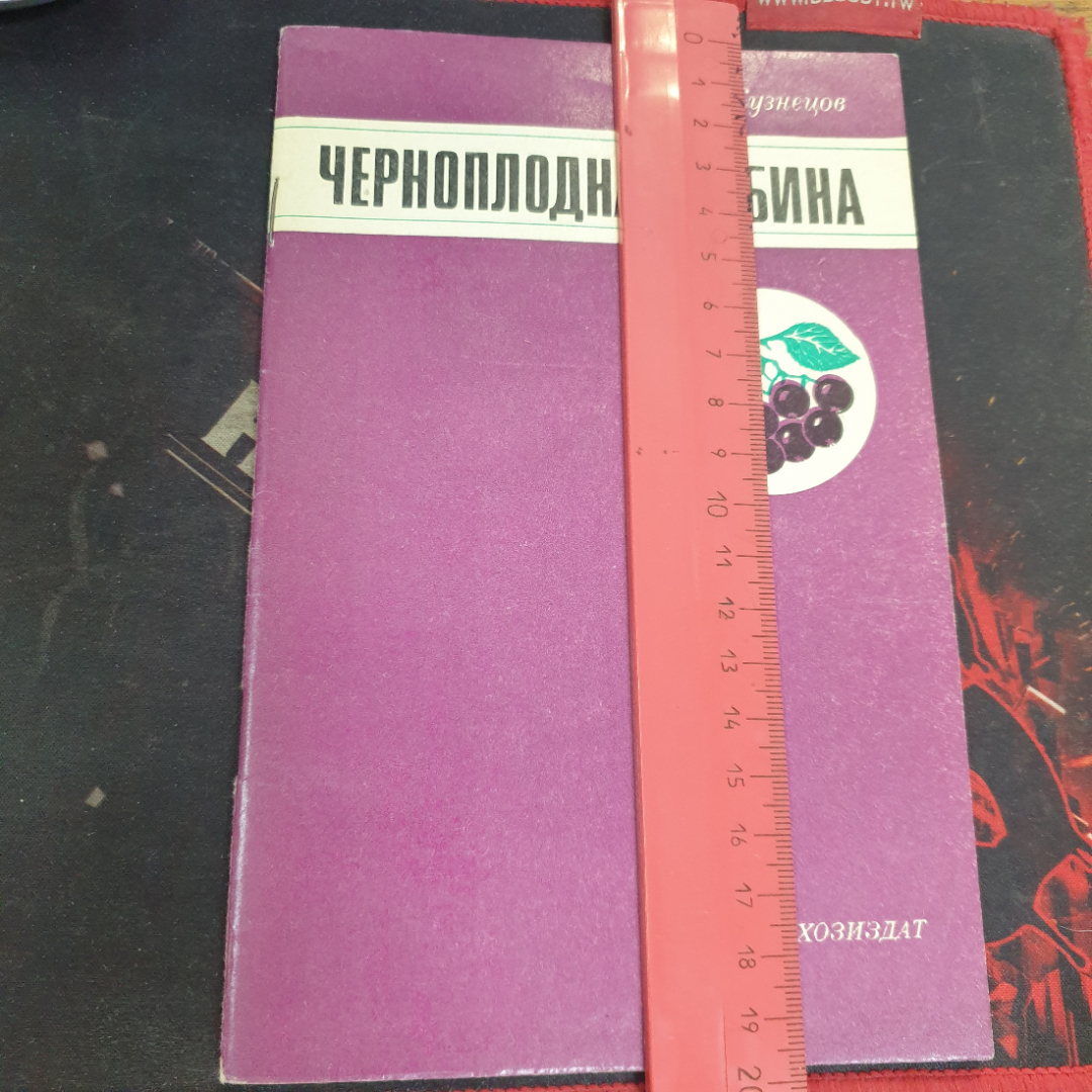 П.А. Кузнецов, Черноплодная рябина, 1978 г.. Картинка 5