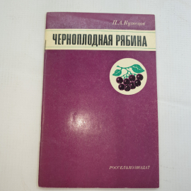 П.А. Кузнецов, Черноплодная рябина, 1978 г.