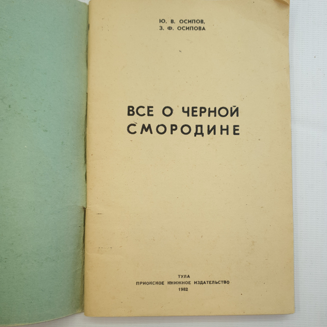 Ю.В. Осипов, З.Ф. Осипова, Все о черной смородине.1982 г.. Картинка 3