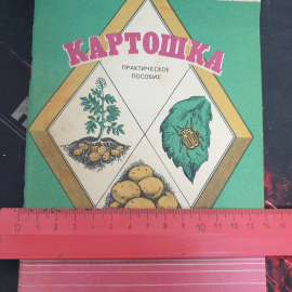 Картошка. Практическое пособие, 1992 г.. Картинка 4