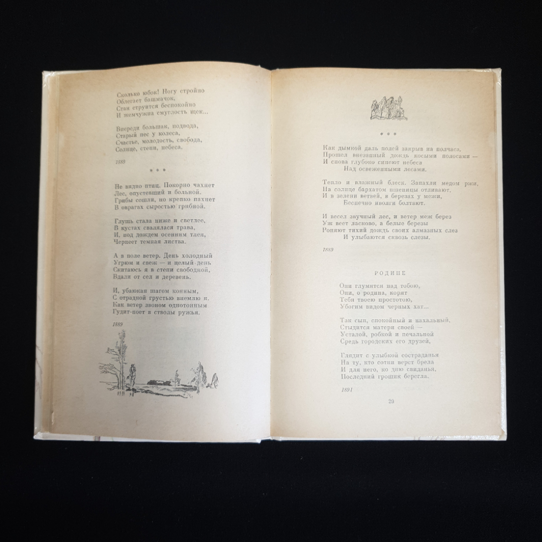 Купить И.А. Бунин, Стихотворения, 1989 г. в интернет магазине GESBES.  Характеристики, цена | 78749. Адрес Московское ш., 137А, Орёл, Орловская  обл., Россия, 302025