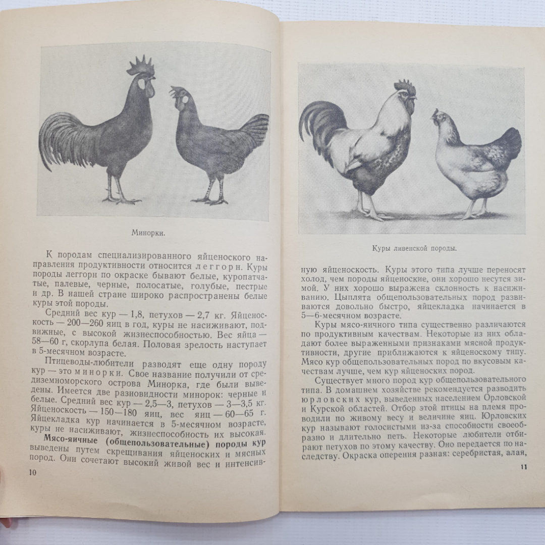 В. Абакумов, Птица в домашнем хозяйстве, 1972 г.. Картинка 4