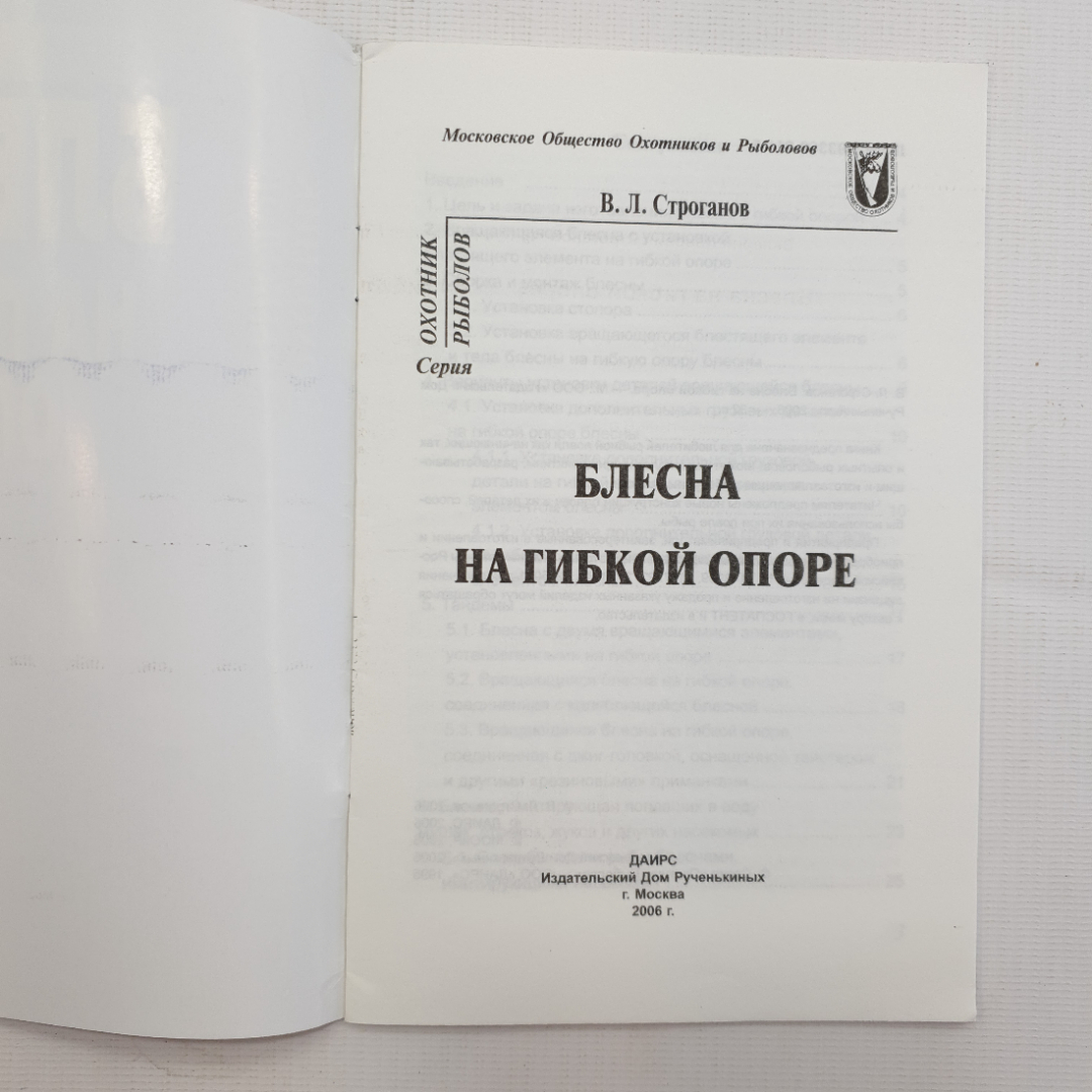 В.Л. Строганов, Блесна на гибкой опоре, 2006. Картинка 3