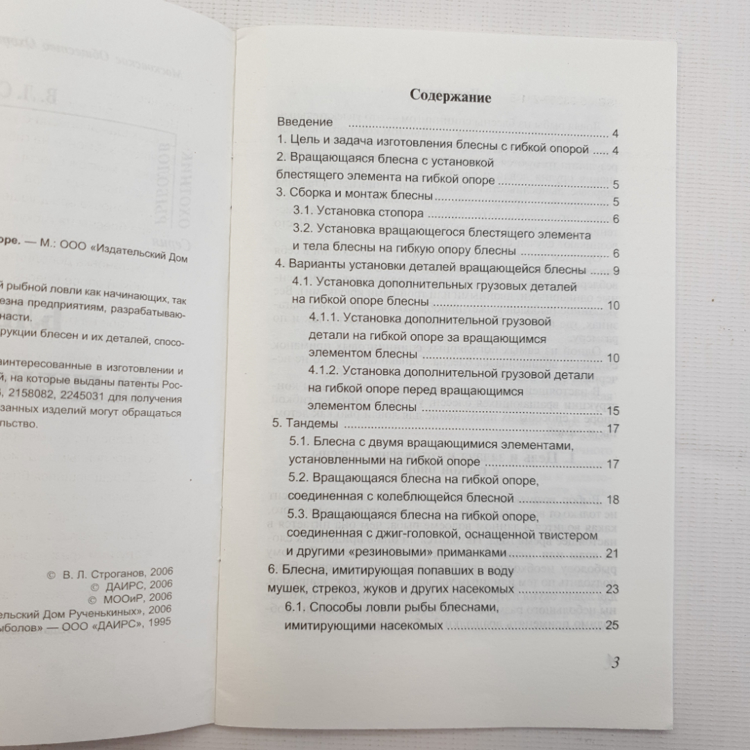 В.Л. Строганов, Блесна на гибкой опоре, 2006. Картинка 4