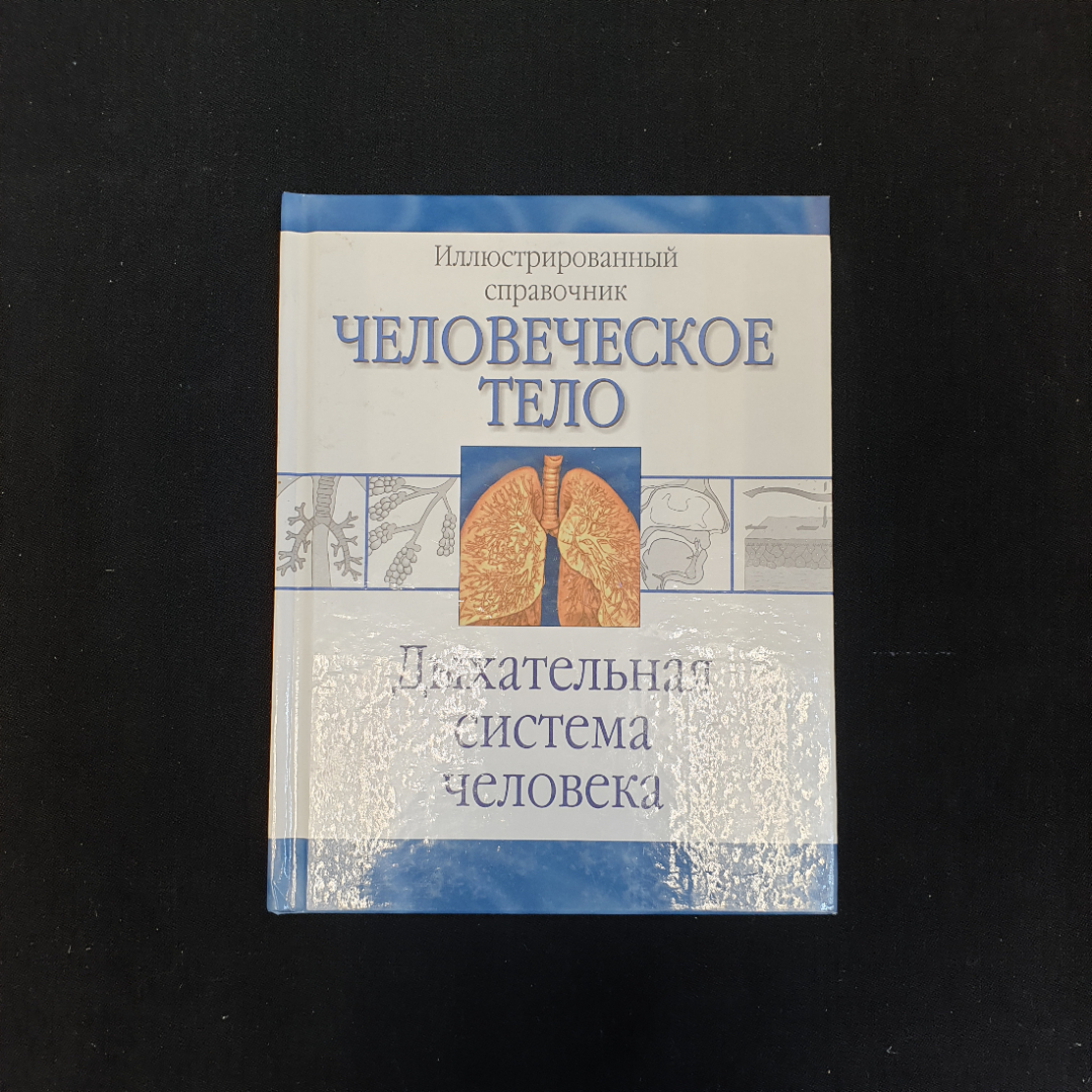 Пер. с англ. О.И. Максименко, Дыхательная система человека, 2009 г.. Картинка 1