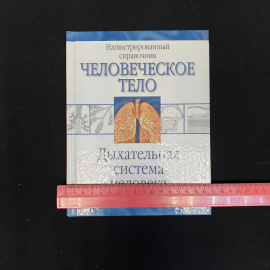 Пер. с англ. О.И. Максименко, Дыхательная система человека, 2009 г.. Картинка 2