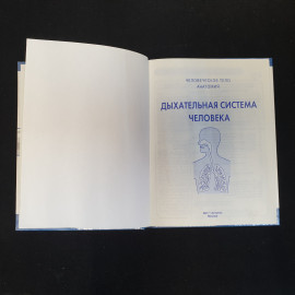 Пер. с англ. О.И. Максименко, Дыхательная система человека, 2009 г.. Картинка 9