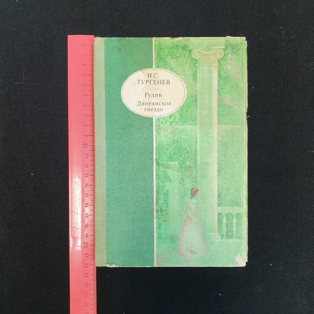 И.С. Тургенев, Рудин. Дворянское гнездо, 1980 г.. Картинка 8