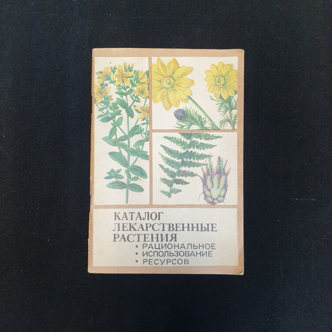 Л. Маркова, В. Расщупкина, Каталог лек. растения. Рациональное использование ресурсов, 1981 г.. Картинка 1