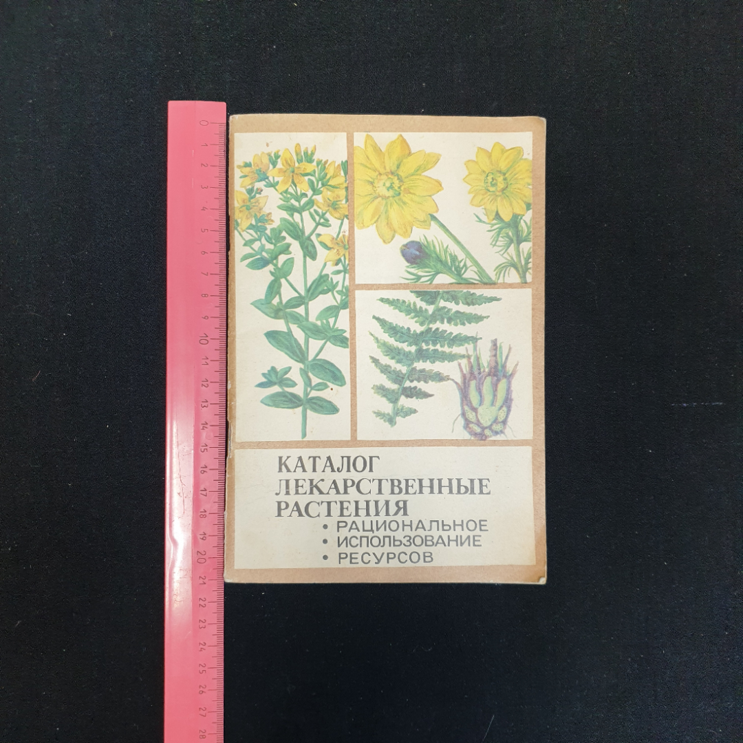 Купить Л. Маркова, В. Расщупкина, Каталог лек. растения. Рациональное  использование ресурсов, 1981 г. в интернет магазине GESBES. Характеристики,  цена | 80099. Адрес Московское ш., 137А, Орёл, Орловская обл., Россия,  302025