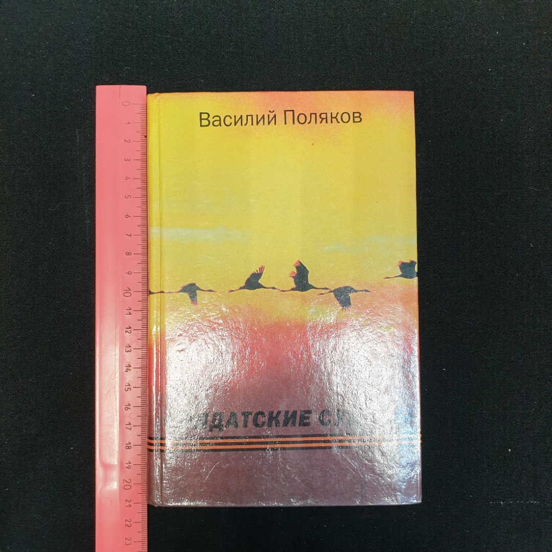 В.И. Поляков, Солдатские судьбы, 2000 г. Г. Орел / Ливны. Картинка 8