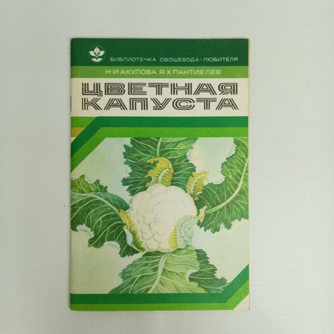 Купить Н.И. Акулова, Я.Х. Пантиелев, Цветная капуста, 1980 г. в интернет  магазине GESBES. Характеристики, цена | 80334. Адрес Московское ш., 137А,  Орёл, Орловская обл., Россия, 302025