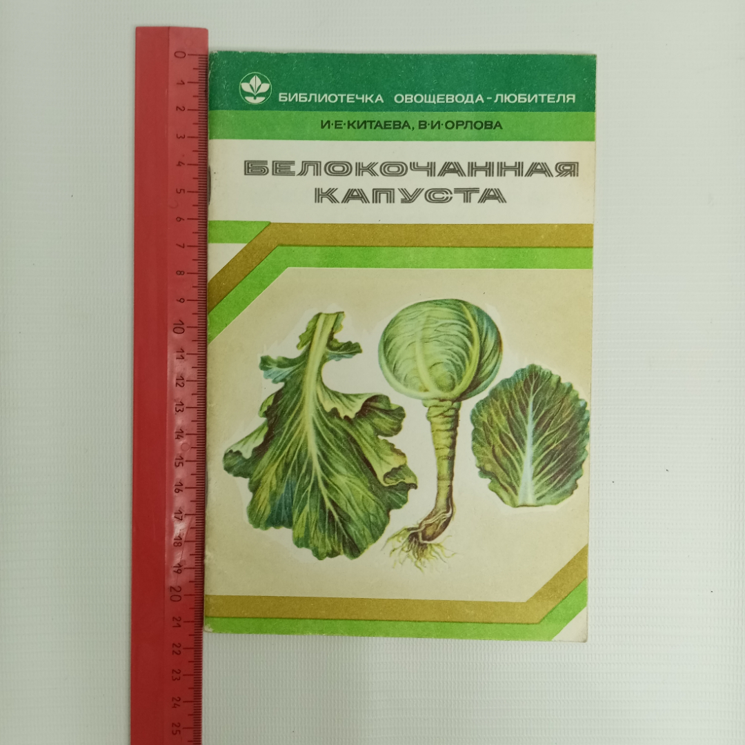 И.Е. Китаева, В.И. Орлова, Белокочанная капуста, 1980 г.. Картинка 6