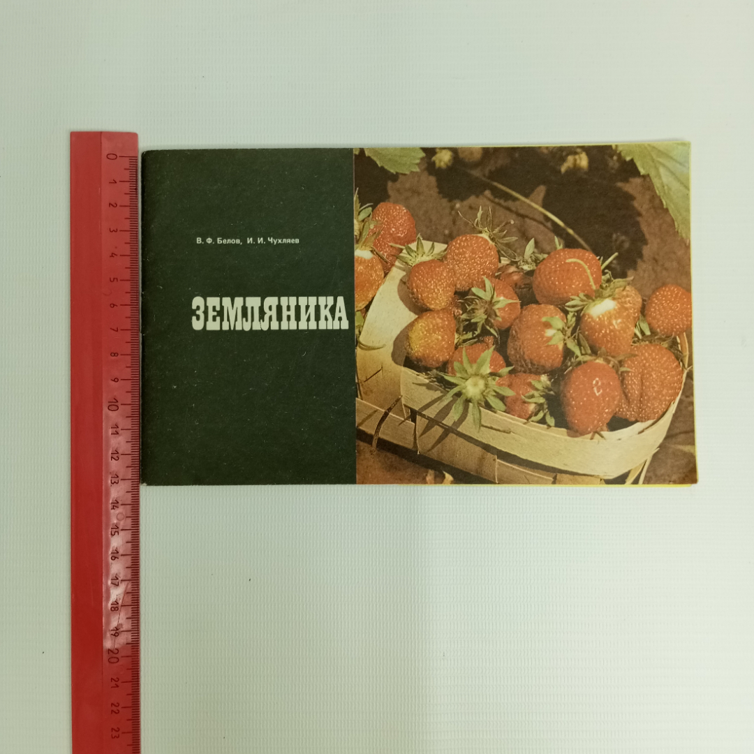 В.Ф. Белов, И.И. Чухляев, Земляника, 1989 г.. Картинка 4