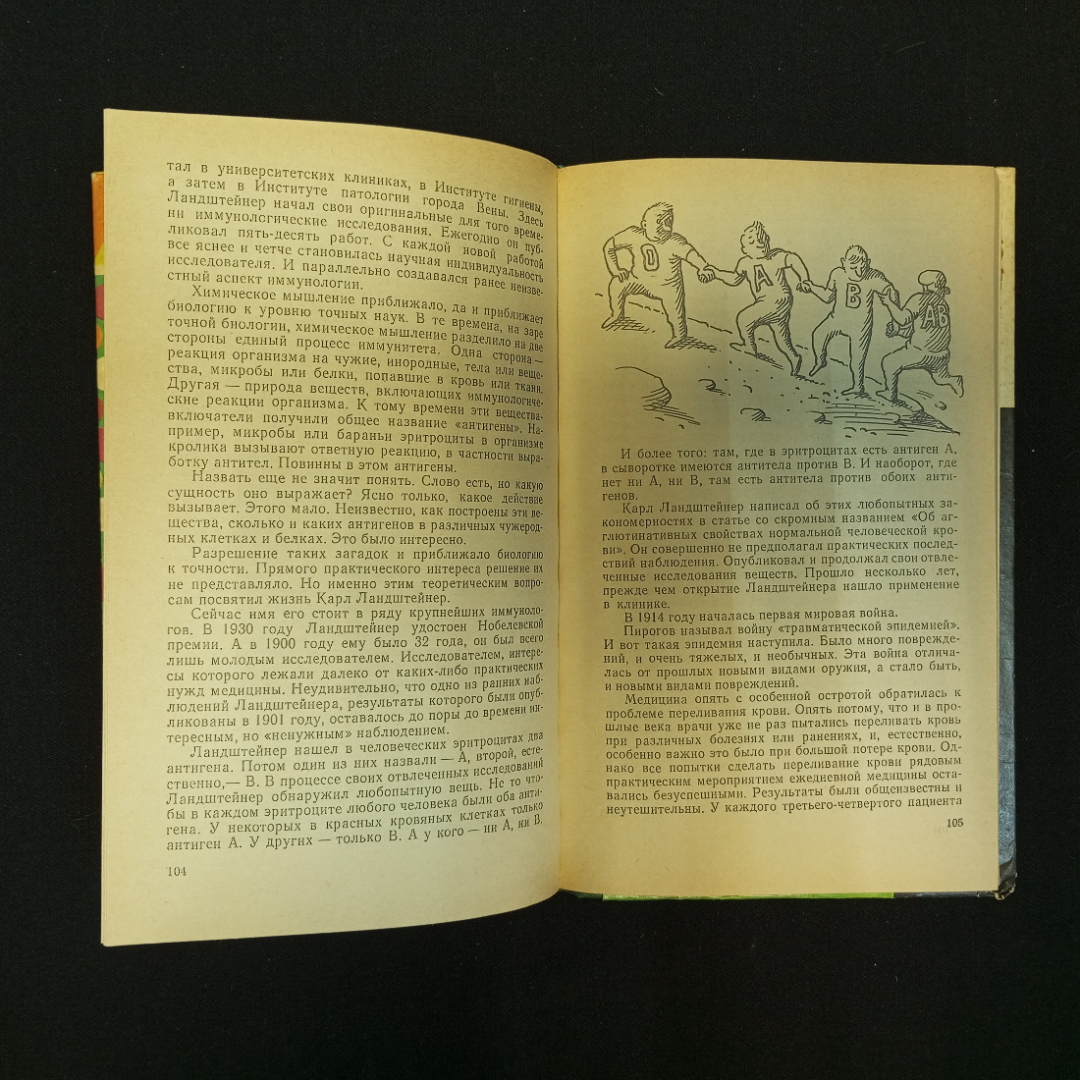 Р.В. Петров, Я или не я: Иммунологические мобили, 1983 г.. Картинка 7