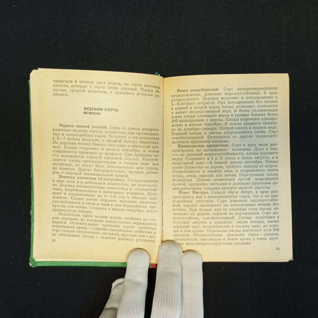 А.С. Яцына, И.Н. Камаев, А.В. Кирпиченко, Приусадебный сад-огород, 1984 г.. Картинка 6