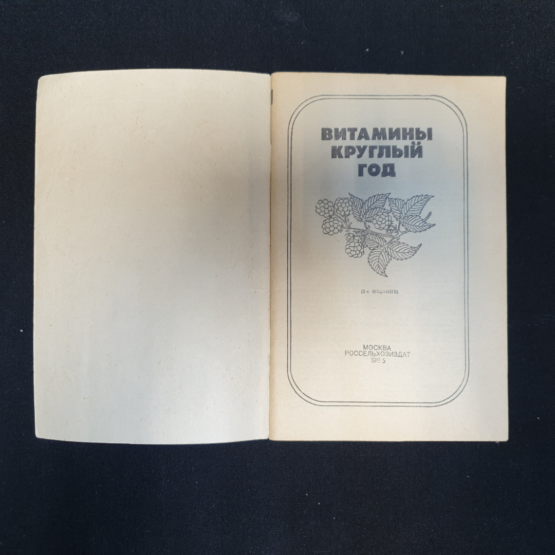 К.С. Петровский, Д.П. Белоусов, А.С. Беляева, Н.Н. Смирнова, Витамины круглый год, 1985 г.. Картинка 4
