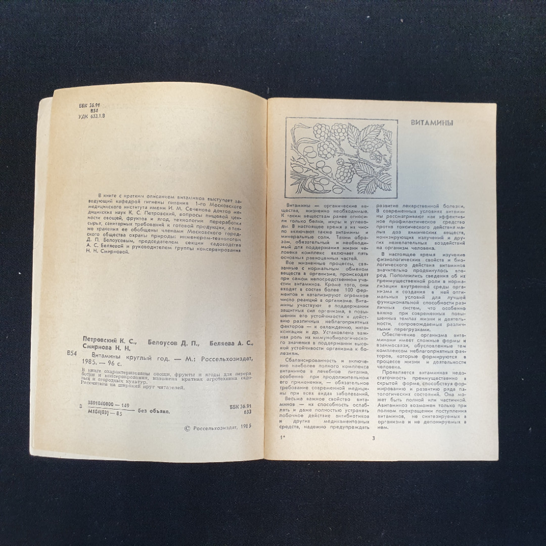 К.С. Петровский, Д.П. Белоусов, А.С. Беляева, Н.Н. Смирнова, Витамины круглый год, 1985 г.. Картинка 5