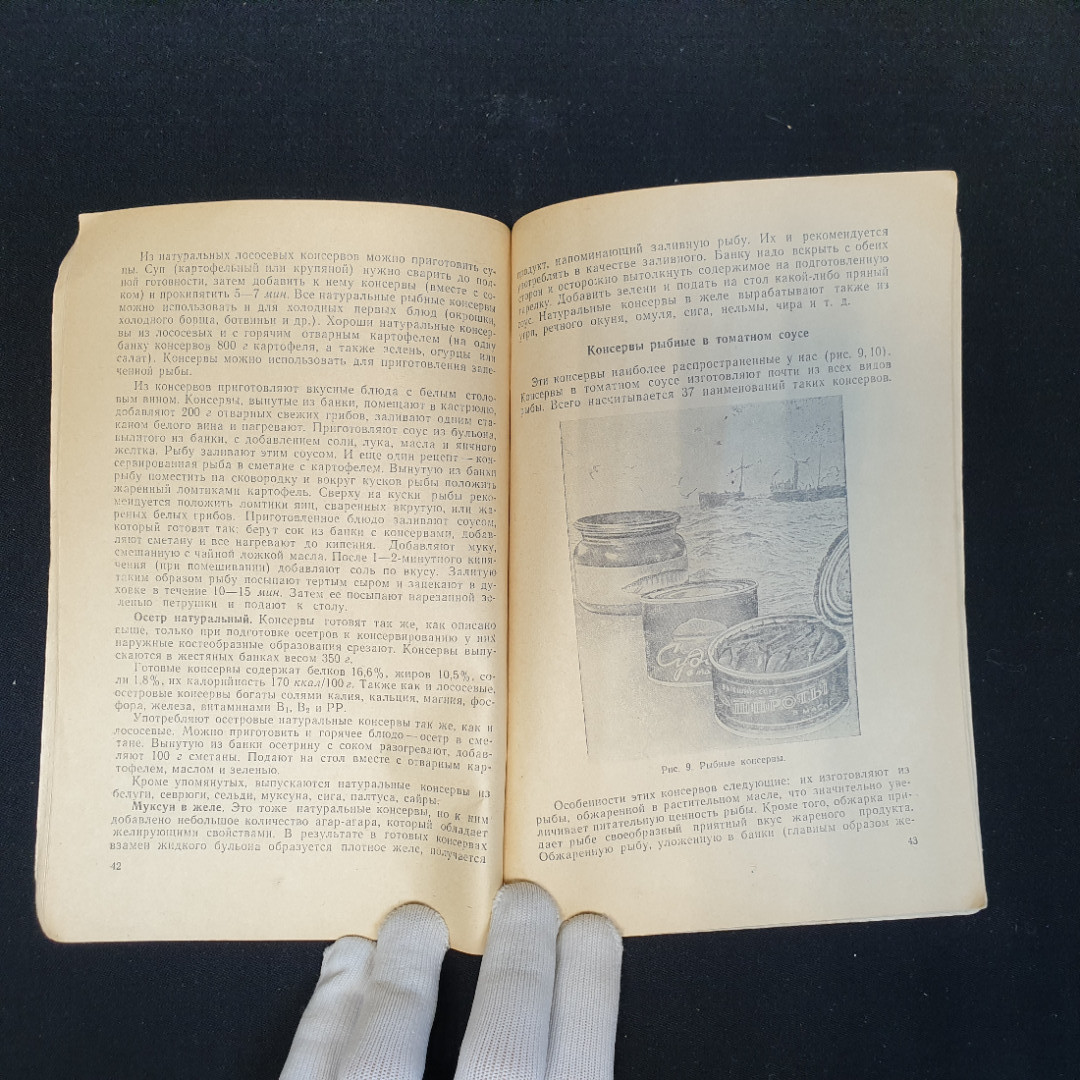 А.Ф. Наместников, Консервы и их использование в домашнем питании, 1963 г.. Картинка 6