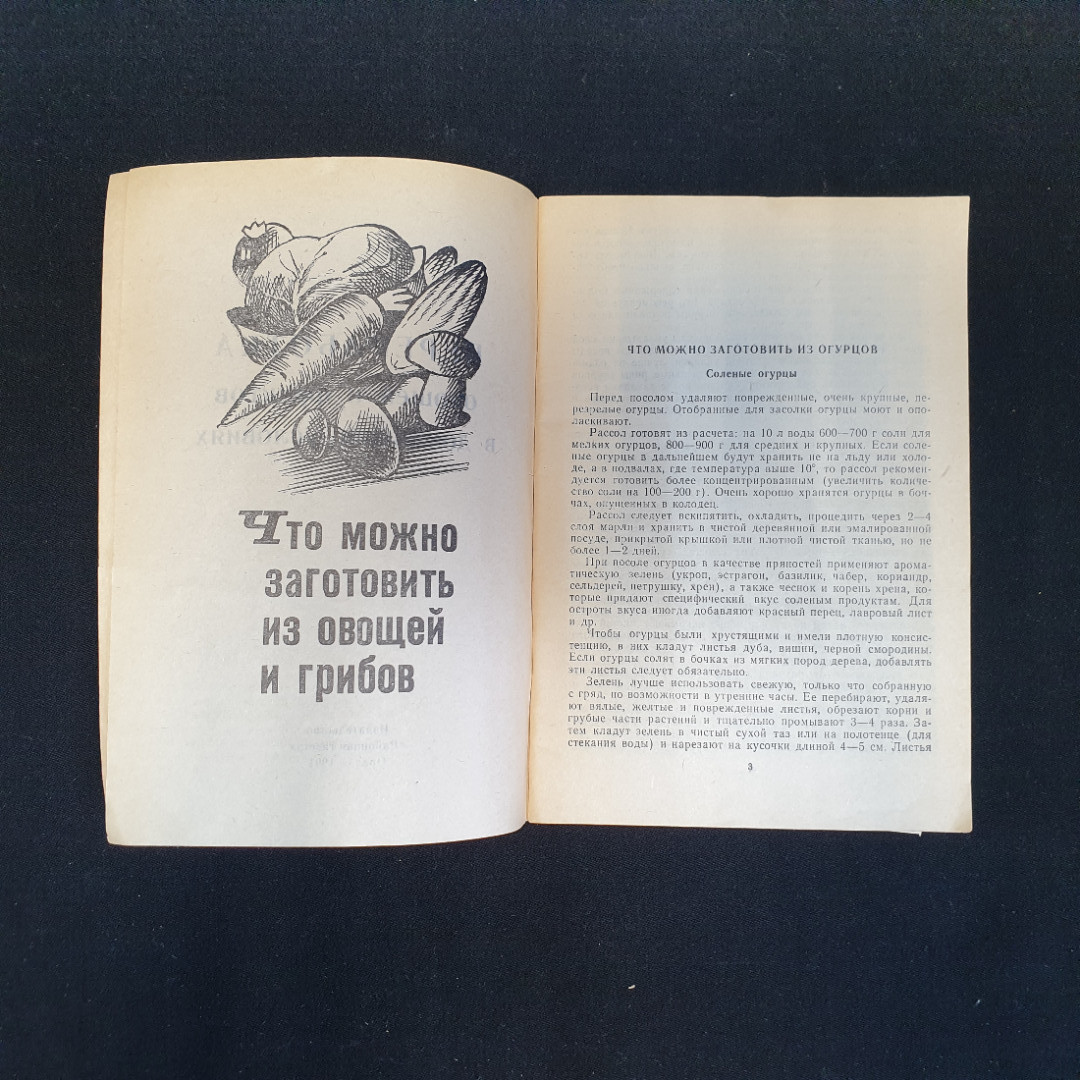 Переработка овощей и фруктов в домашних условиях, Изд. Районная газета, Орёл, 1991 г.. Картинка 5