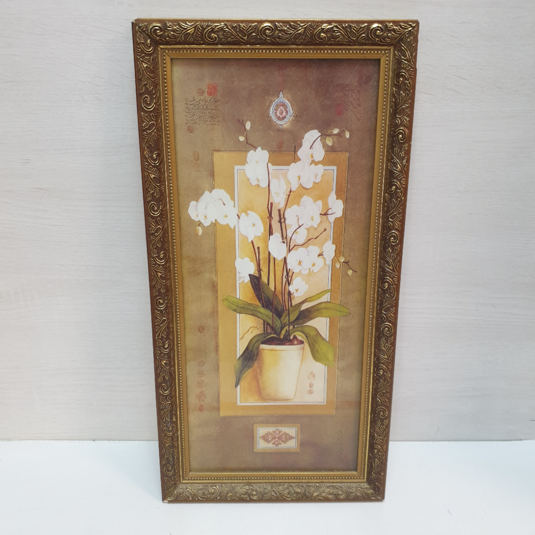 Картина, постер в раме под стеклом, "Белая орхидея", печать , 25 х 49 см. Картинка 1