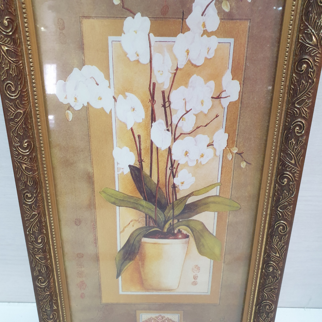 Картина, постер в раме под стеклом, "Белая орхидея", печать , 25 х 49 см. Картинка 3