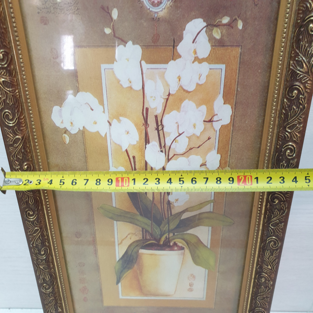 Картина, постер в раме под стеклом, "Белая орхидея", печать , 25 х 49 см. Картинка 13