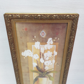Картина, постер в раме под стеклом, "Белая орхидея", печать , 25 х 49 см. Картинка 2