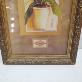 Картина, постер в раме под стеклом, "Белая орхидея", печать , 25 х 49 см. Картинка 4