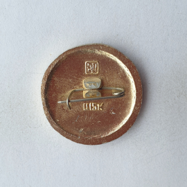 Значок "Золотое кольцо. Шуя", СССР. Картинка 2