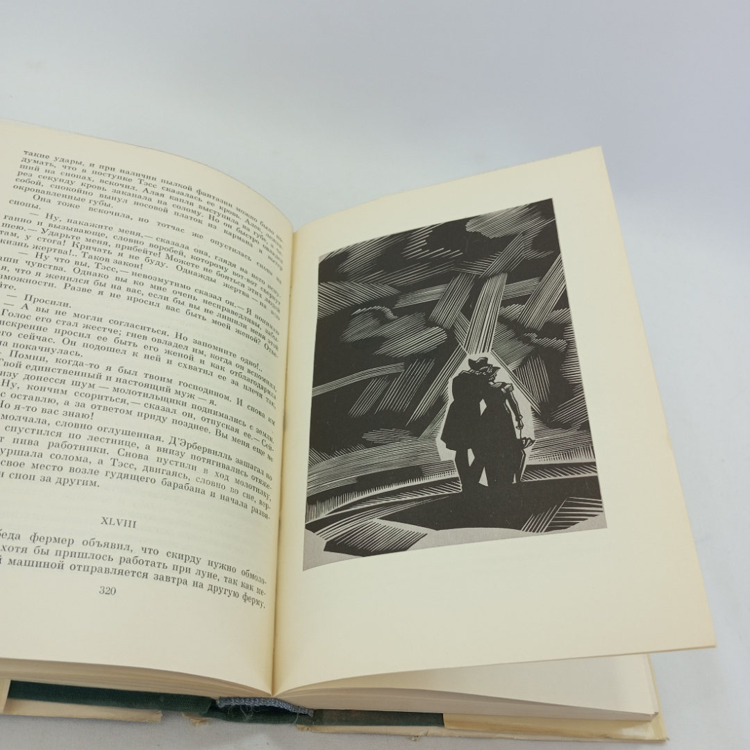 Тэсс из рода Д*Эрбервиллей. Джуд Незаметный. Томас Гарди, БВЛ, 1970 год, том 71. Картинка 5